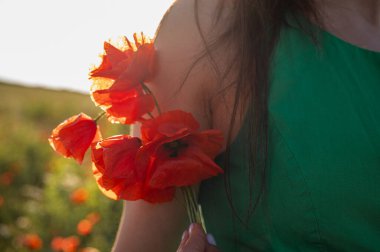 Bir kadın güneş ışığında canlı kırmızı gelincikleri nazikçe tutarak doğal güzelliği, şefkati ve doğayla bağlantıyı vurguluyor. Bahar, yaz ve kır çiçekleri temaları için mükemmel.