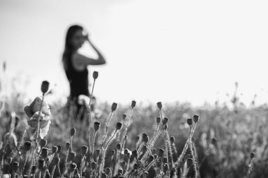 Parlak bir gökyüzünün altındaki haşhaş tarlasında kendine güvenen zarif bir kadın. Siyah ve beyaz, doğal güzelliğini ve düşünceli bakışlarını vurguluyor. Özgürlük, içgözlem ve kadınsı güç temaları için mükemmel.