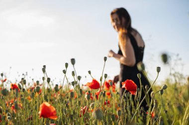 Siyah elbiseli güzel bir kadın berrak mavi gökyüzünün altında canlı bir afyon tarlasında poz veriyor, sıcak altın saat güneş ışığında banyo yapıyor. Özgürlüğü ve doğal güzelliği çağrıştırıyor.