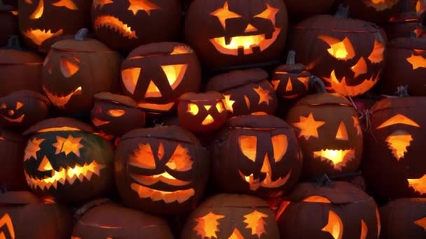 Halikko Finnország Dec 2022 Éves Halloween Sütőtök Park Rannikko Farmon — Stock videók