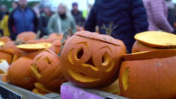 Halikko Finlândia Dec 2022 Annual Halloween Pumpkin Park Rannikko Farm — Vídeo de Stock