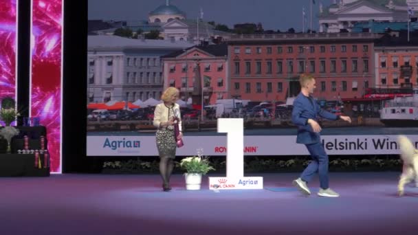 Helsinki Finlande Dec 2022 Remise Des Gagnants Concours Helsinki Winner — Video