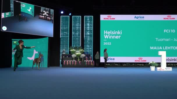 Helsinki Finland Grudzień 2022 Właściciele Psów Reprezentują Swoje Zwierzęta Konkursie — Wideo stockowe