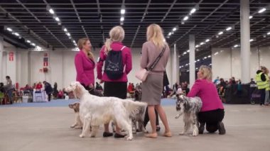 HELSINKI, FINLAND - DEC 02, 2022: Messukeskus Expo Center 'daki Koiramessut 2022 köpek şovunda köpek sahipleri ve onların evcil hayvanları.