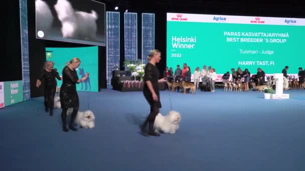 Helsinki Finlândia Dec 2022 Donos Cães Representam Seus Animais Estimação — Vídeo de Stock