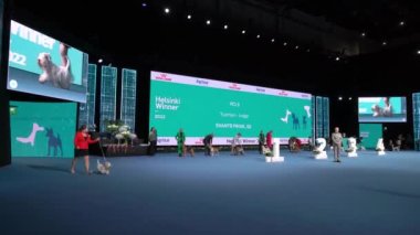 HELSINKI, FINLAND - DEC 02, 2022: Köpek sahipleri, Messukeskus Expo Center 'da düzenlenen Koiramessut 2022 köpek gösterisi sırasında Nordic Dog Show' un bir parçası olan Helsinki Winner 2022 yarışmasında evcil hayvanlarını temsil ediyorlar..