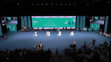 HELSINKI, FINLAND - DEC 02, 2022: Köpek sahipleri, Messukeskus Expo Center 'da düzenlenen Koiramessut 2022 köpek gösterisi sırasında Nordic Dog Show' un bir parçası olan Helsinki Winner 2022 yarışmasında evcil hayvanlarını temsil ediyorlar..