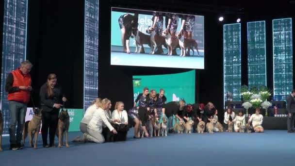 Helsinki Finlandia Dic 2022 Los Dueños Perros Representan Sus Mascotas — Vídeos de Stock
