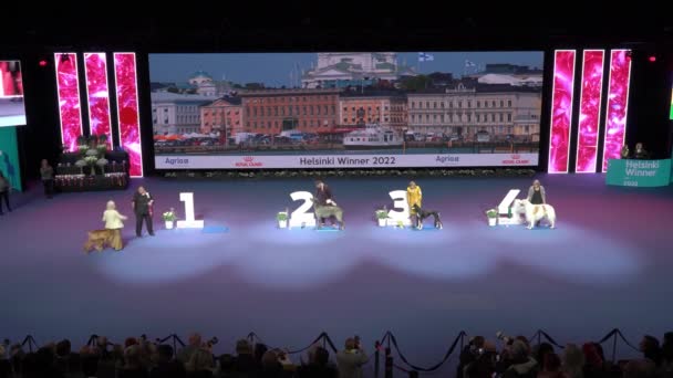 Helsinki Finlândia Dec 2022 Premiação Dos Vencedores Competição Helsinki Winner — Vídeo de Stock