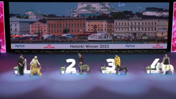 Helsinki Finland Dec 2022 Призначення Переможців Конкурсу Гельсінкі Переможець 2022 — стокове відео