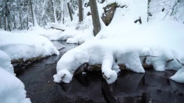 Kışın karla kaplı bir ormanda buzsuz küçük bir dere. Finlandiya Nuuksio Ulusal Parkı 'nda kuzey doğasının çarpıcı güzelliği. Çırpınan suyun sesiyle