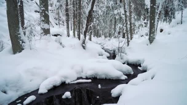 Mały Wolny Lodu Strumień Zimowym Pokrytym Śniegiem Lesie Oszałamiające Piękno — Wideo stockowe