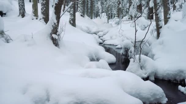 Kışın Karla Kaplı Bir Ormanda Buzsuz Küçük Bir Dere Finlandiya — Stok video