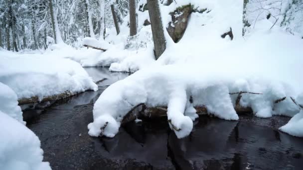 冬の雪に覆われた森の中の小さな氷のないストリーム ヌクシオ国立公園 フィンランドの北部の自然の見事な美しさ ゴボゴボという音で — ストック動画