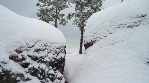 Skandynawski Krajobraz Sosny Pokryte Śniegiem Skale Nad Morzem Bałtyckim Finlandia — Wideo stockowe