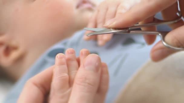 아기들의 손가락에 손톱을 자르는 어머니 아버지 어머니가 클로즈업 기울기 — 비디오