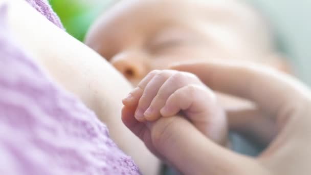 Una Madre Joven Amamanta Bebé Recién Nacido Dormitorio Luminoso Mamá — Vídeos de Stock