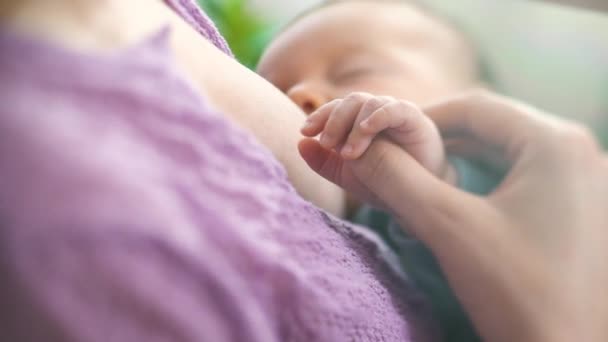 Una Madre Joven Amamanta Bebé Recién Nacido Dormitorio Luminoso Mamá — Vídeos de Stock