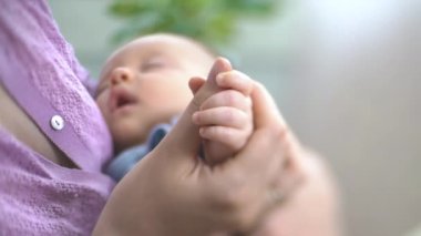 Kollarında uyuyan bir bebeği tutan mutlu bir anne. Annem küçük bebeklerin elini tutuyor. Annelik, Ebeveynlik ve Annelik. Güzel Mutlu Aile. Yakın çekim, eğim kaydırma lensi