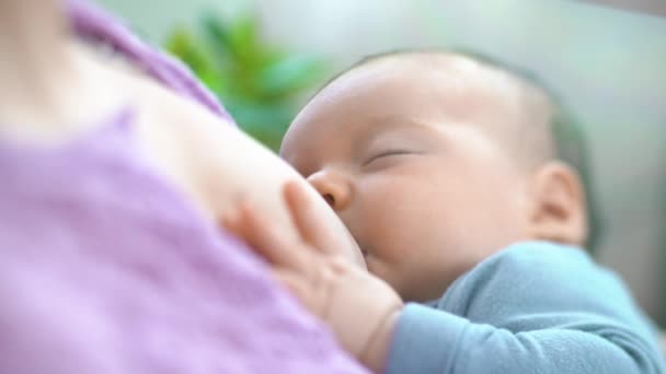 Una Madre Joven Amamanta Bebé Recién Nacido Dormitorio Luminoso Mamá — Vídeo de stock