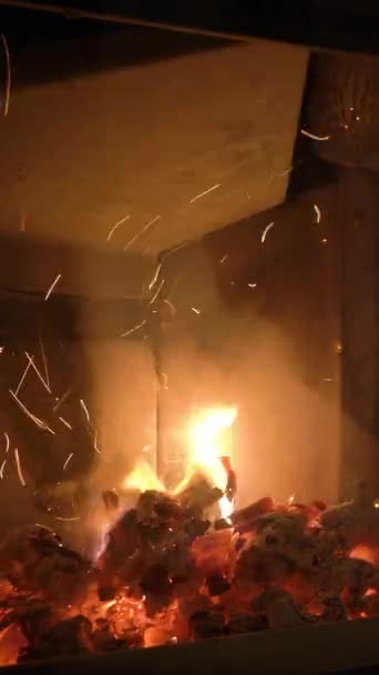 一个女人在壁炉里生火 冬天的心情和舒适的房子 Verticai视频 — 图库视频影像