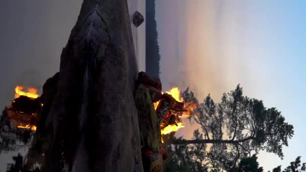 夏至午夜时分 湖畔的森林里燃着篝火 芬兰仲夏节前夕的夏日白夜 篝火和野生动物的声音 — 图库视频影像