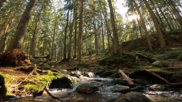 Μικρός Κολπίσκος Κρυστάλλινα Νερά Στο Εθνικό Πάρκο Nuuksio Της Φινλανδίας — Αρχείο Βίντεο