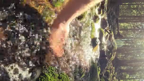 Ormandaki Bir Dereden Temiz Içme Suyu Alan Adam Yakından Çek — Stok video