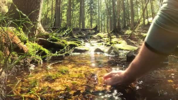 Hombre Tomando Agua Potable Arroyo Bosque Cerca Mano Parque Nacional — Vídeo de stock