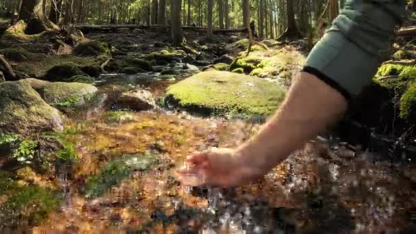 Hombre Tomando Agua Potable Arroyo Bosque Cerca Mano Parque Nacional — Vídeos de Stock