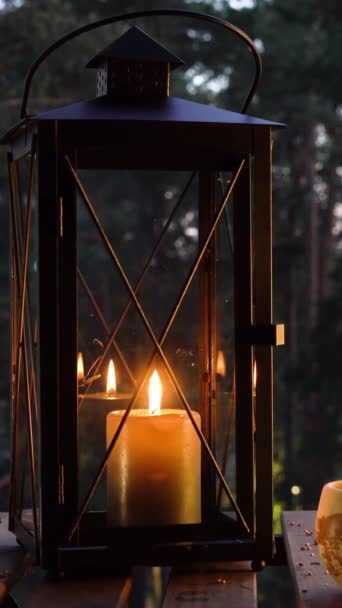Ліхтар Свічкою Вечірньому Літньому Лісі Соснові Дерева Темний Фон Вертикальне — стокове відео