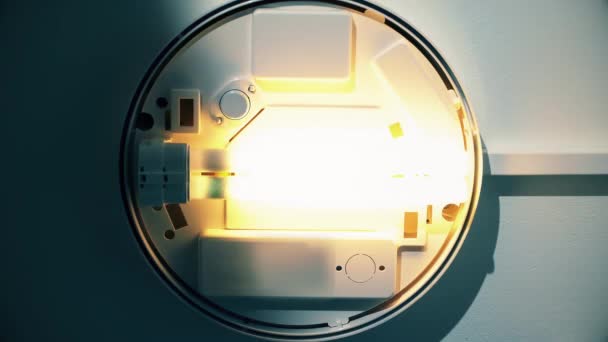 Die Alte Energiesparlampe Flackert Und Verblasst Ein Wenig Bedrohlich — Stockvideo