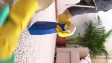 Ev hanımı halıyı özel deterjanla temizler. Yakın plan.