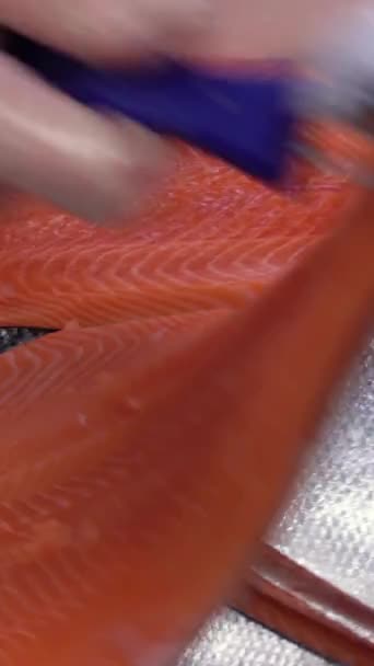 Pracovník Umístí Lososového Filé Poli Továrnu Zpracování Ryb Dolly Zastřelen — Stock video
