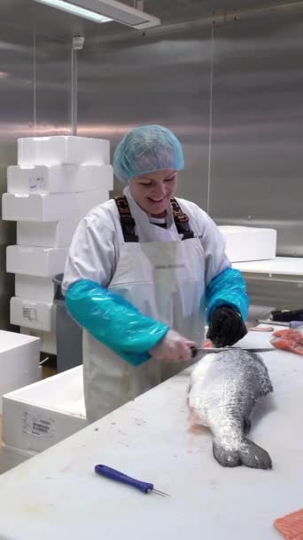 Arbeitsgruppe Einer Fischverarbeitungsfabrik Mann Bestreut Lachsfilet Mit Gewürzen — Stockvideo