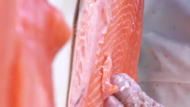 Arbeiter Schneiden Ein Lachsfilet Tisch Einem Fischladen Dolly Erschossen Nahaufnahme — Stockvideo