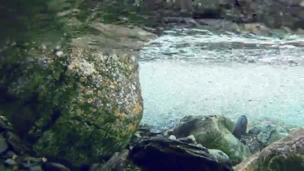 Kamienie Dole Górskiej Rzeki Pęcherzyki Powietrza Strumienia Wody Skalistym Dnem — Wideo stockowe