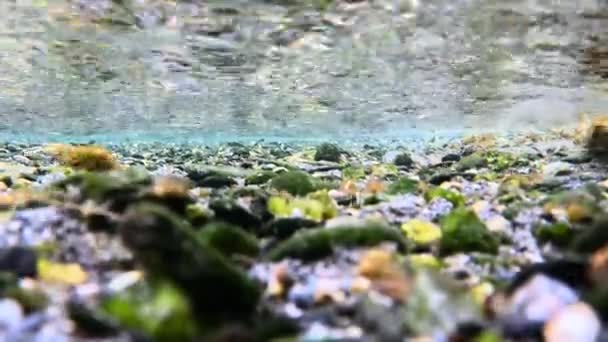 강바닥에 던지고 바위가 물줄기의 방울을 만들어 자연의아름다움 수중의 — 비디오