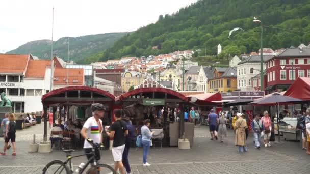 Bergen Norway Jun 2023 Picturesque Bergen Fish Market Located Citys — Stockvideo
