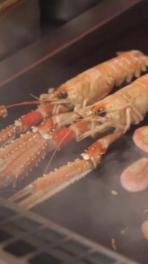 Şef Norveç ıstakozu, Dublin Körfezi karidesleri, ıstakoz ıstakozu, langoustine, karides ve karides pişiriyor.