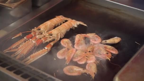 Chef Cooking Norway Lobster Dublin Bay Prawns Shlobster Shrimp Lobster — Stock Video