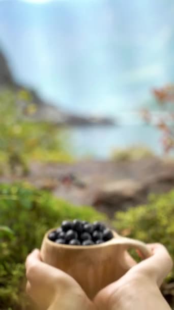 今年初秋 在斯堪的纳维亚半岛风景的背景下 女性的手捧着一个传统的芬兰木杯 里面塞满了蓝莓 北欧的浆果季节 — 图库视频影像