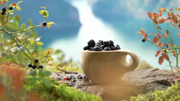 Traditional Finnish Wooden Cup Kuksa Filled Blueberries Backdrop Scandinavian Landscape — Stock Video