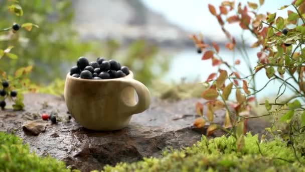 芬兰传统的木制杯子 Kuksa 盛满了蓝莓 背景是初秋斯堪的纳维亚的风景 北欧的浆果季节 — 图库视频影像