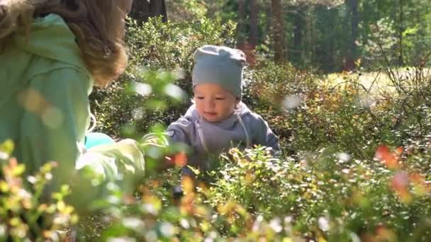 Feliz Jovem Mãe Passar Tempo Com Seu Filho Floresta Norte — Vídeo de Stock