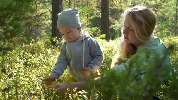 Feliz Jovem Mãe Passar Tempo Com Seu Filho Floresta Norte — Vídeo de Stock