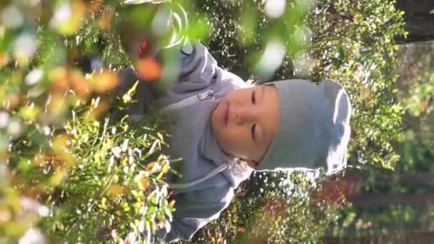 Adorable Niño Recogiendo Arándanos Bosque Día Verano Finlandia — Vídeo de stock