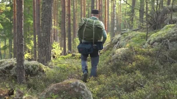 Visszapillantás Férfi Túrázó Séta Tárgyaláson Nemzeti Parkban Hátizsákkal Férfi Hátizsákos — Stock videók