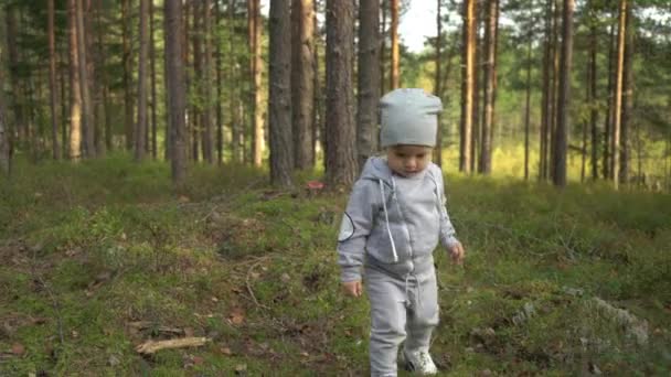 Kisfiú Sétál Túrázás Során Északi Erdőben Finnországban — Stock videók