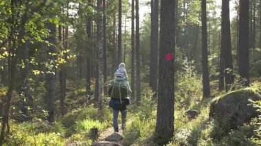 Babası ve küçük çocuğu yazın doğa yürüyüşü yapıyor. Bir adam ve bir çocuk Finlandiya 'da bir sırt çantasıyla ormanda yürüyüşe giderler. Oğlu babasının omuzlarında oturuyor. Arka plan